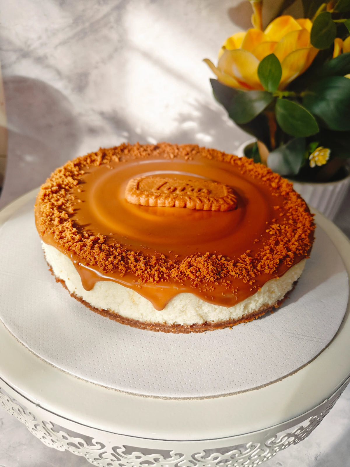Lotus Biscoff Cheesecake
