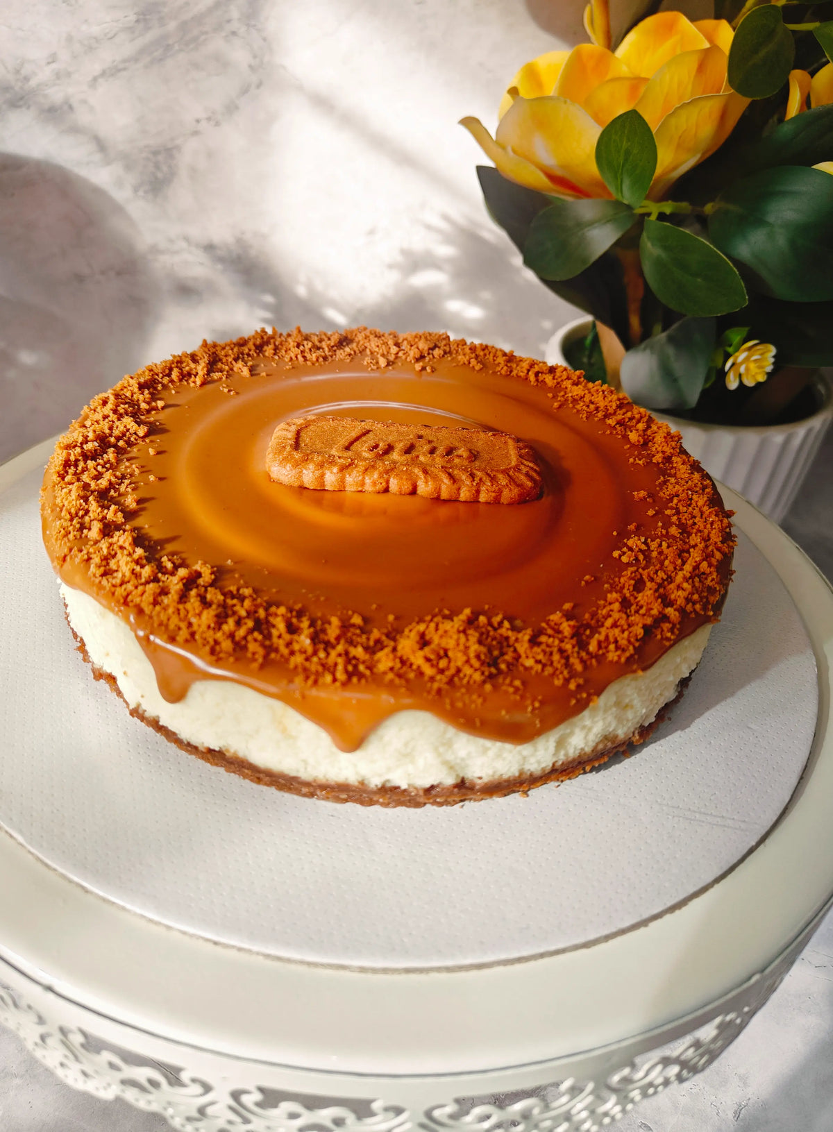 Lotus Biscoff Cheesecake